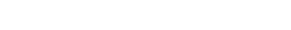 The Lavner Store logo